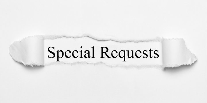 ANOTHER WORD FOR SPECIAL REQUESTS visual data 5