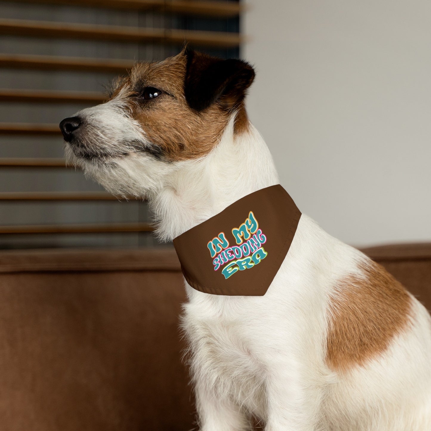 In My Shedding Era Pet Bandana Collar