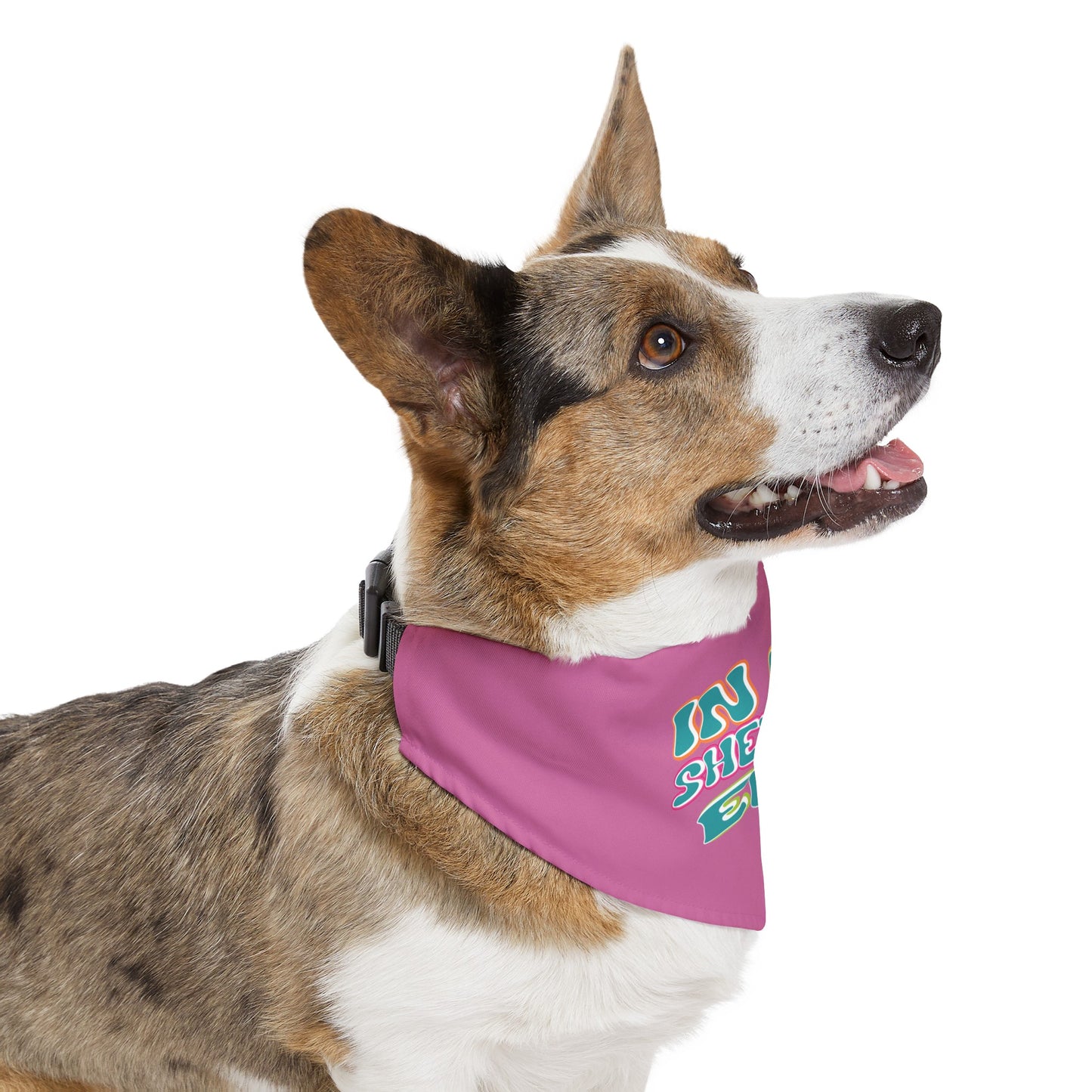 In My Shedding Era Pet Bandana Collar