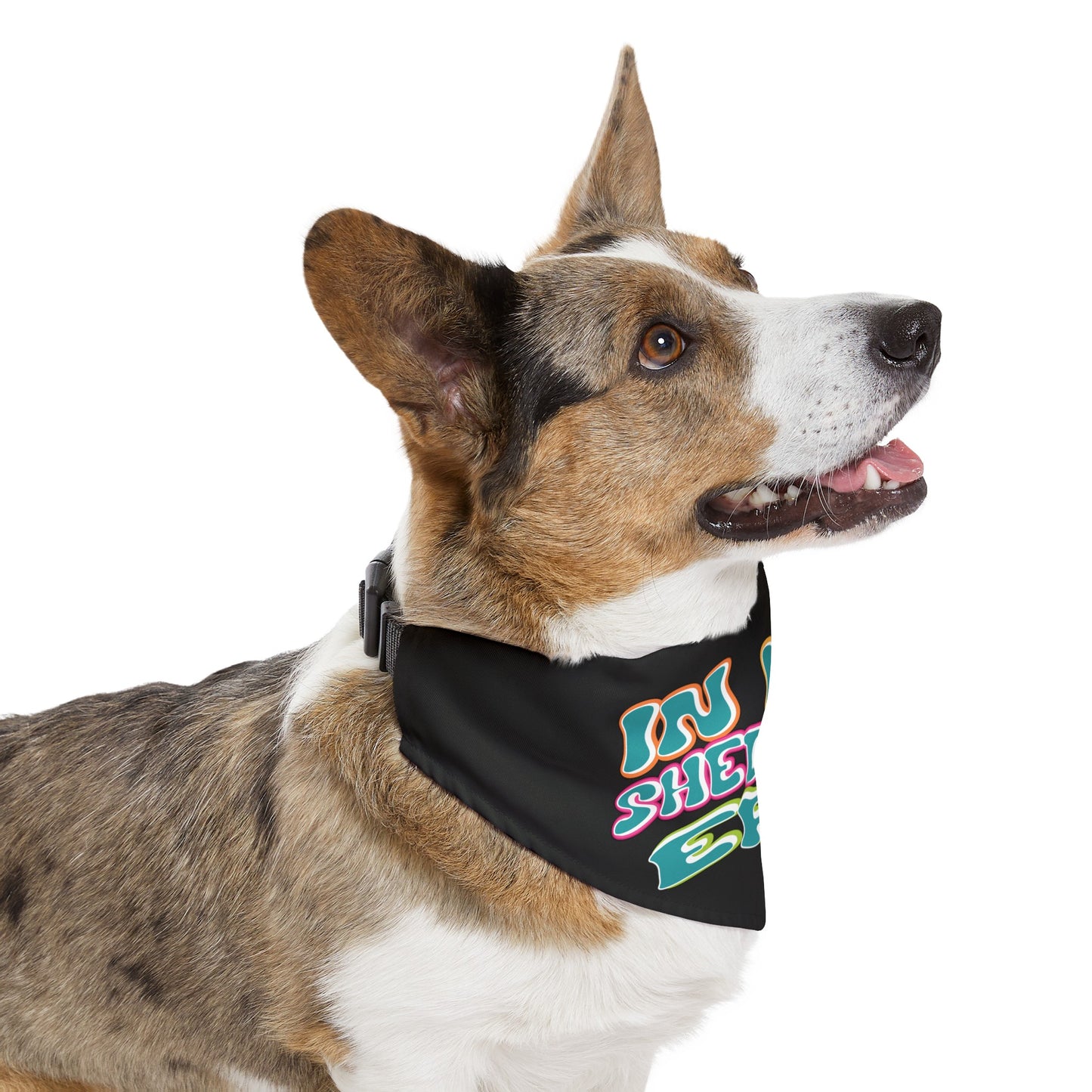 In My Shedding Era Pet Bandana Collar
