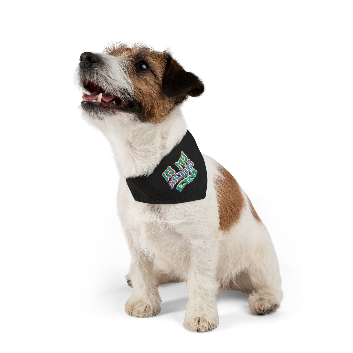 In My Shedding Era Pet Bandana Collar