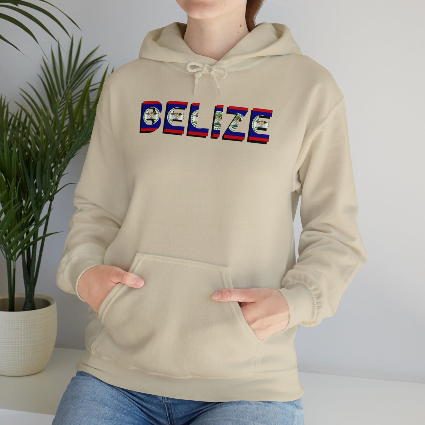Belize flag Unisex Heavy Blend™ Hooded Sweatshirt