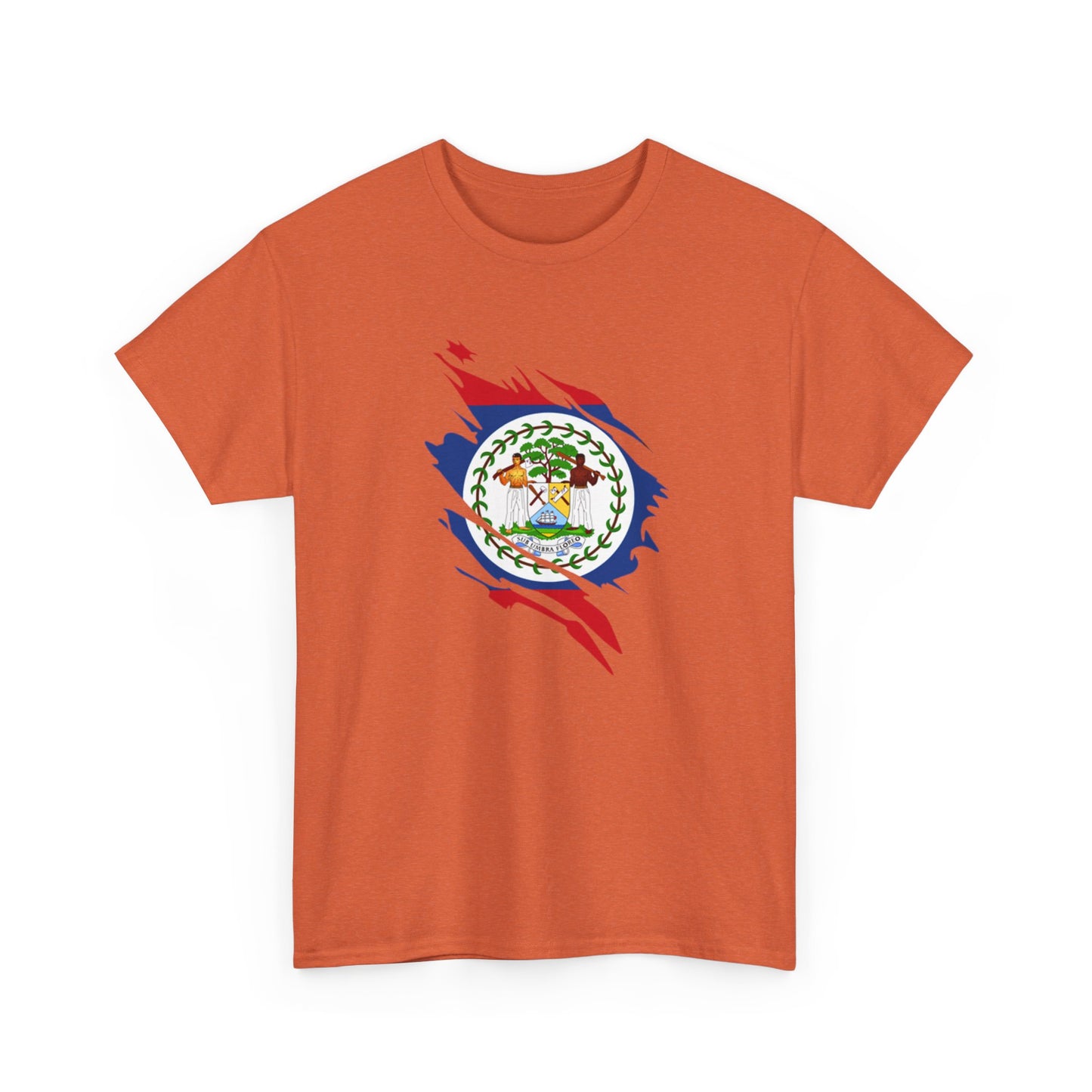 Belize Flag Unisex Heavy Cotton Tee