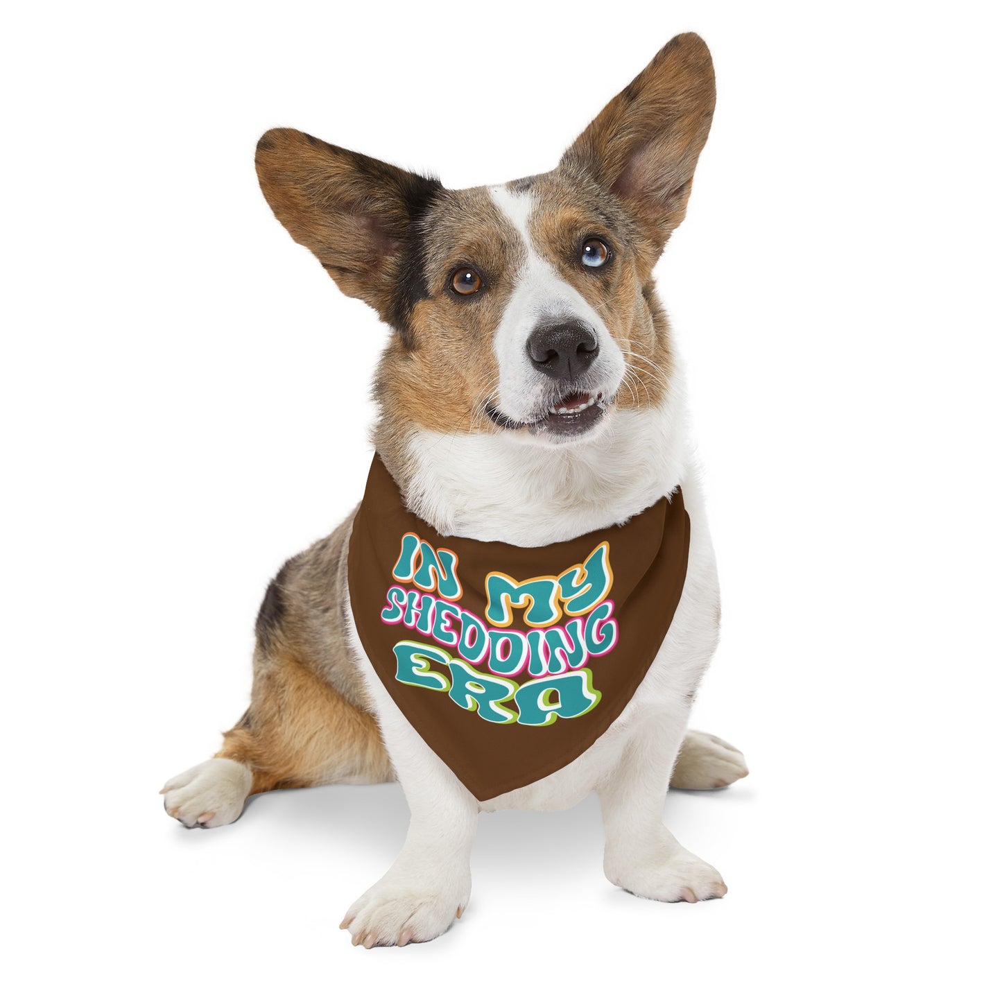 In My Shedding Era Pet Bandana Collar