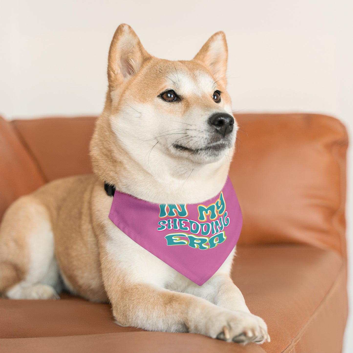 In My Shedding Era Pet Bandana Collar
