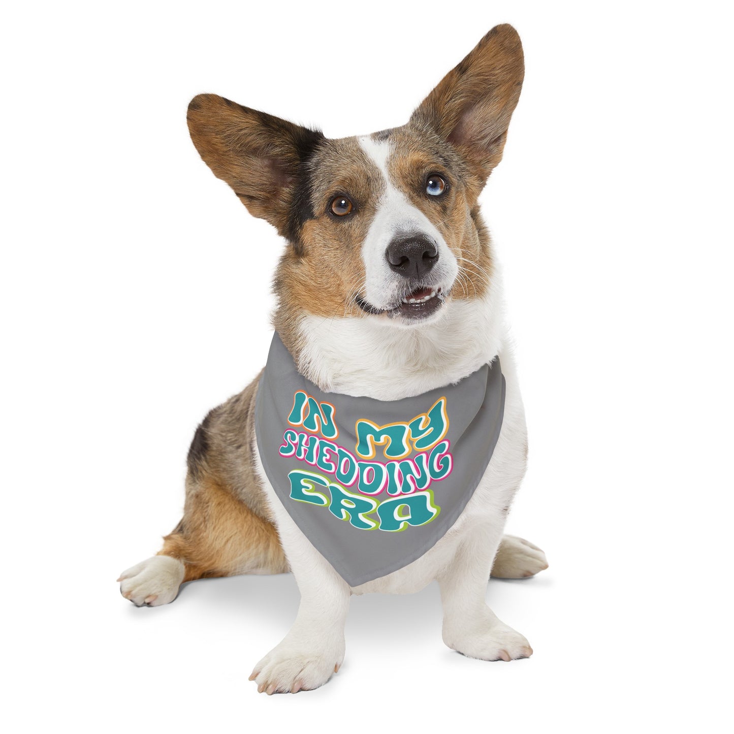 In My Shedding Era Pet Bandana Collar