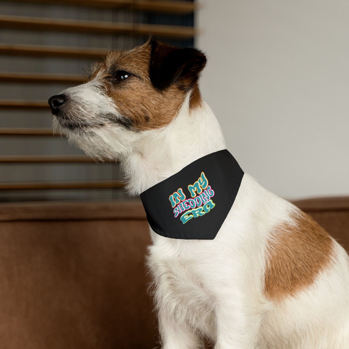 In My Shedding Era Pet Bandana Collar