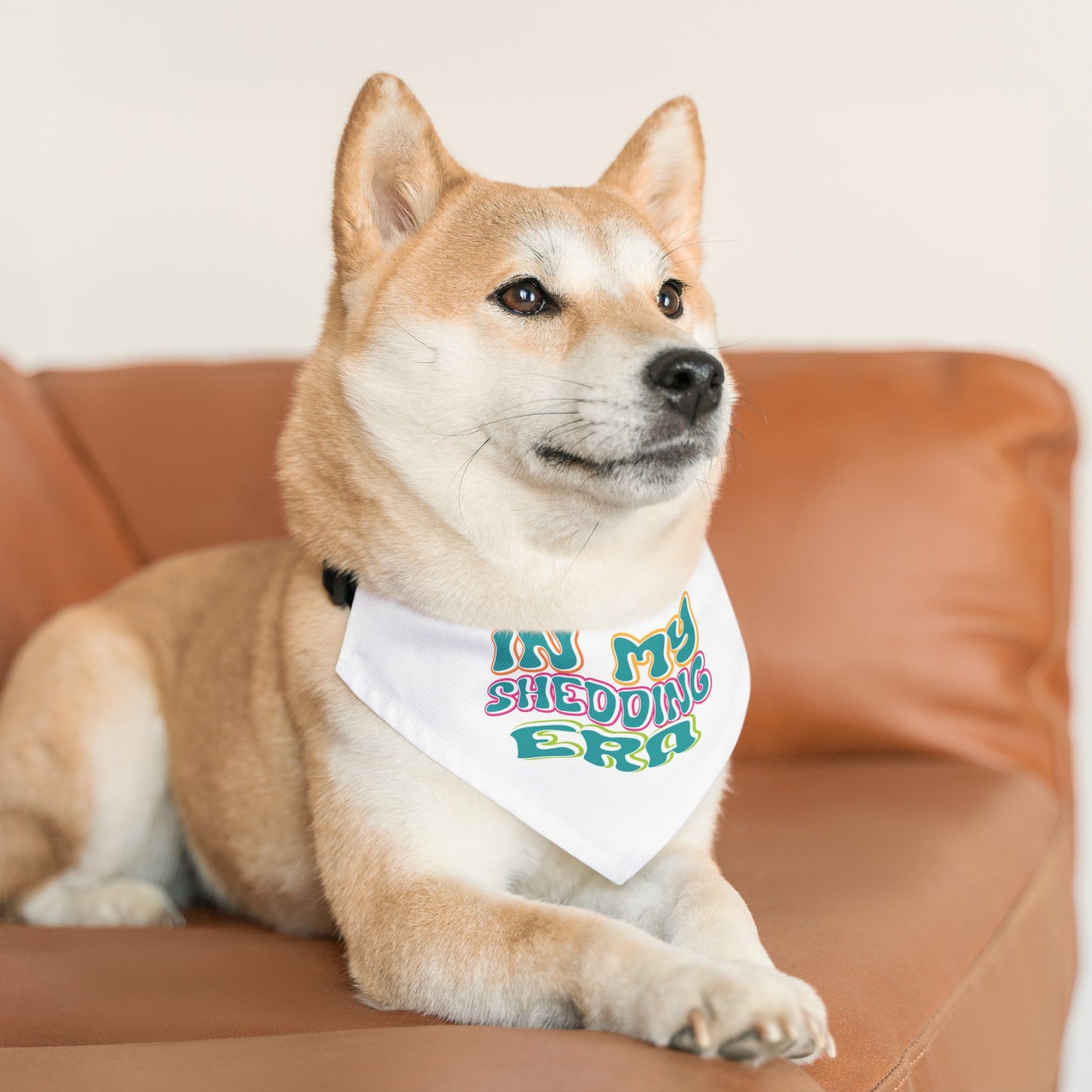 In My Shedding Era Pet Bandana Collar