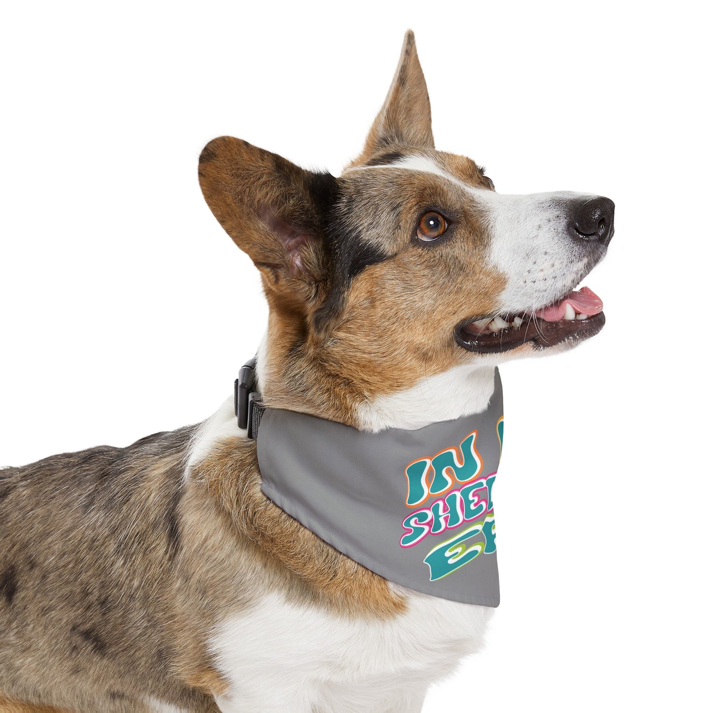 In My Shedding Era Pet Bandana Collar