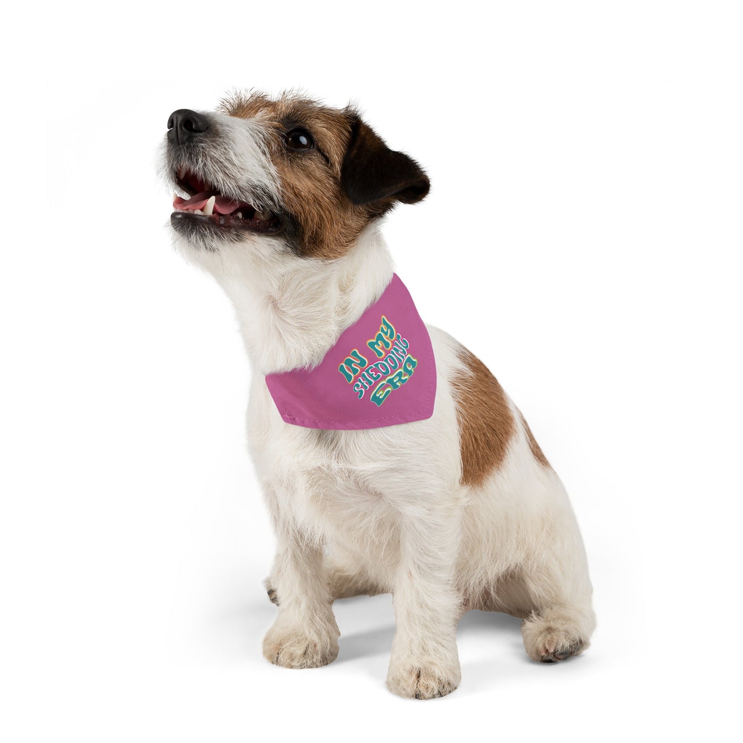 In My Shedding Era Pet Bandana Collar