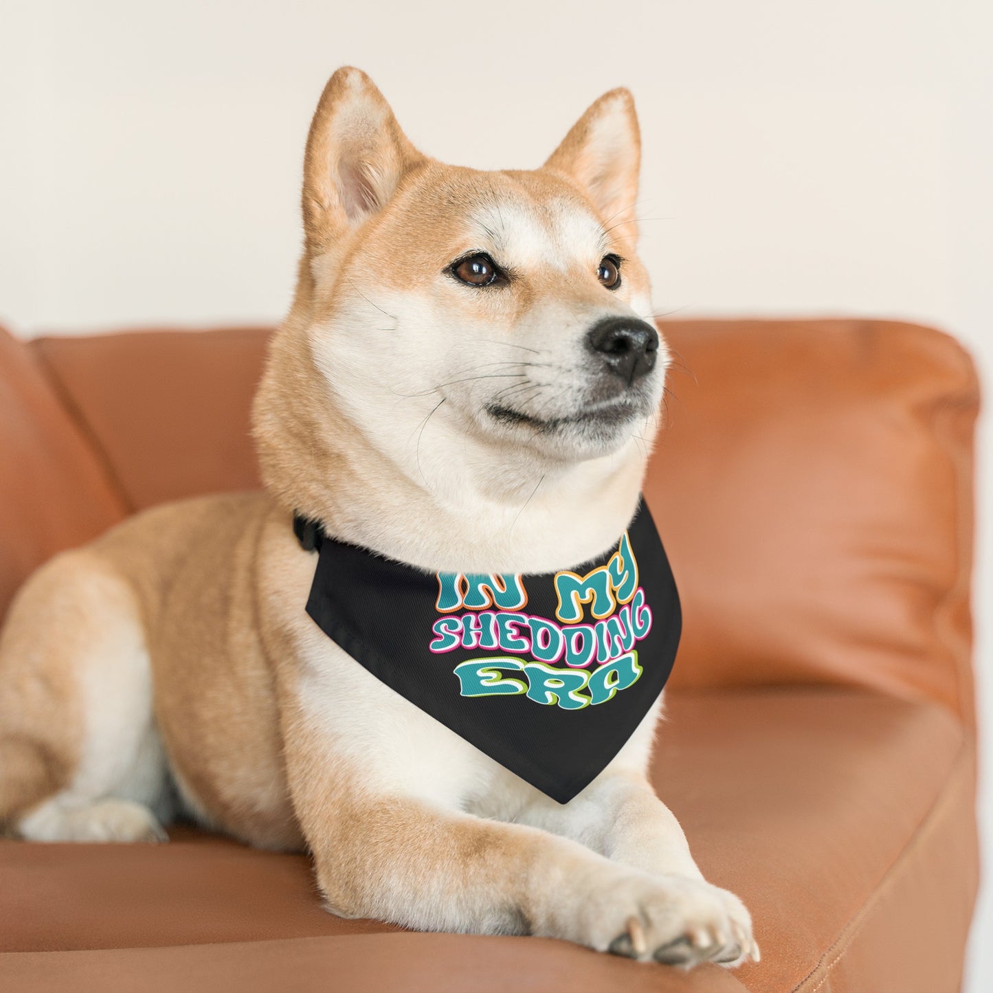 In My Shedding Era Pet Bandana Collar