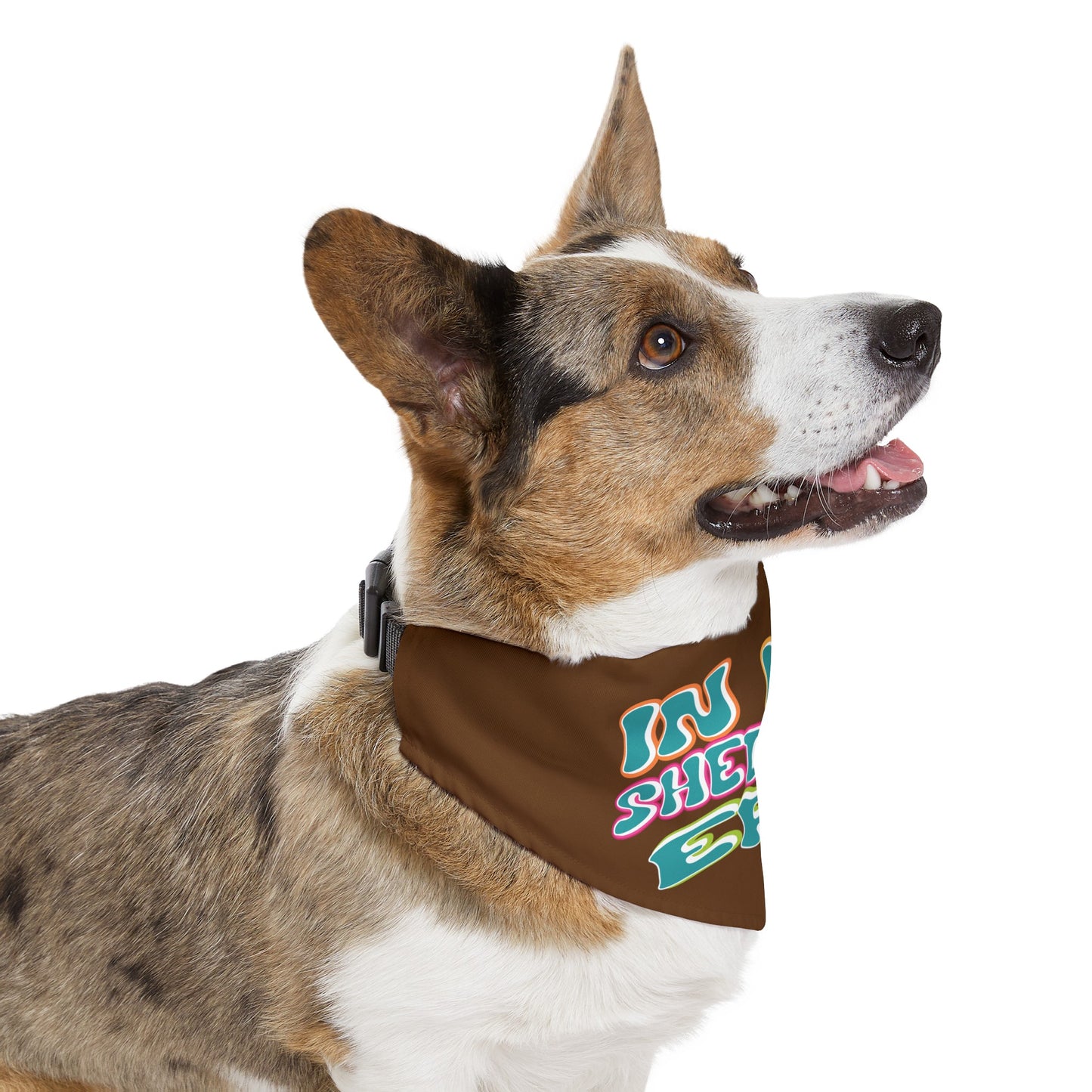 In My Shedding Era Pet Bandana Collar