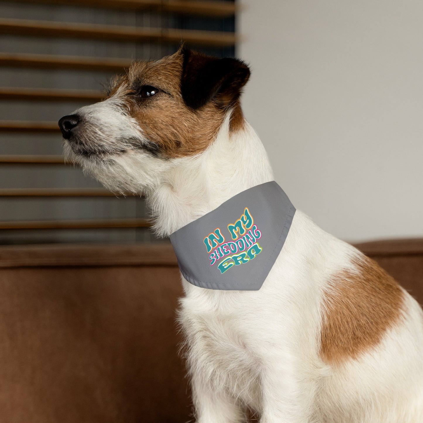In My Shedding Era Pet Bandana Collar