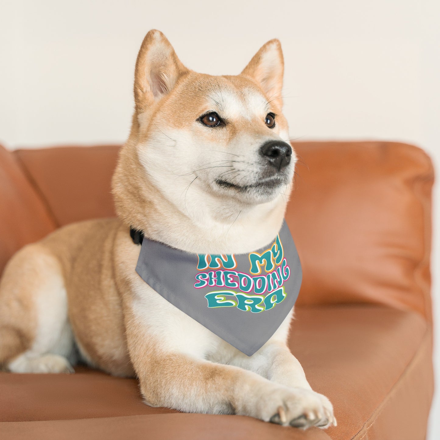 In My Shedding Era Pet Bandana Collar