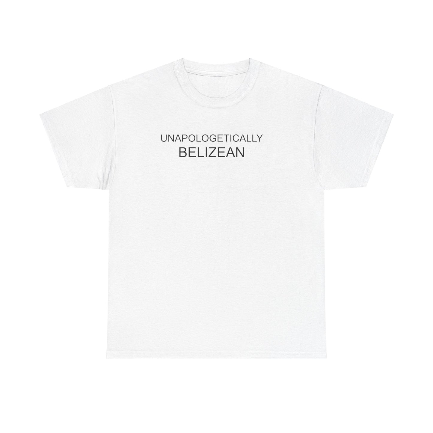 Unapologetic Unisex Heavy Cotton Tee