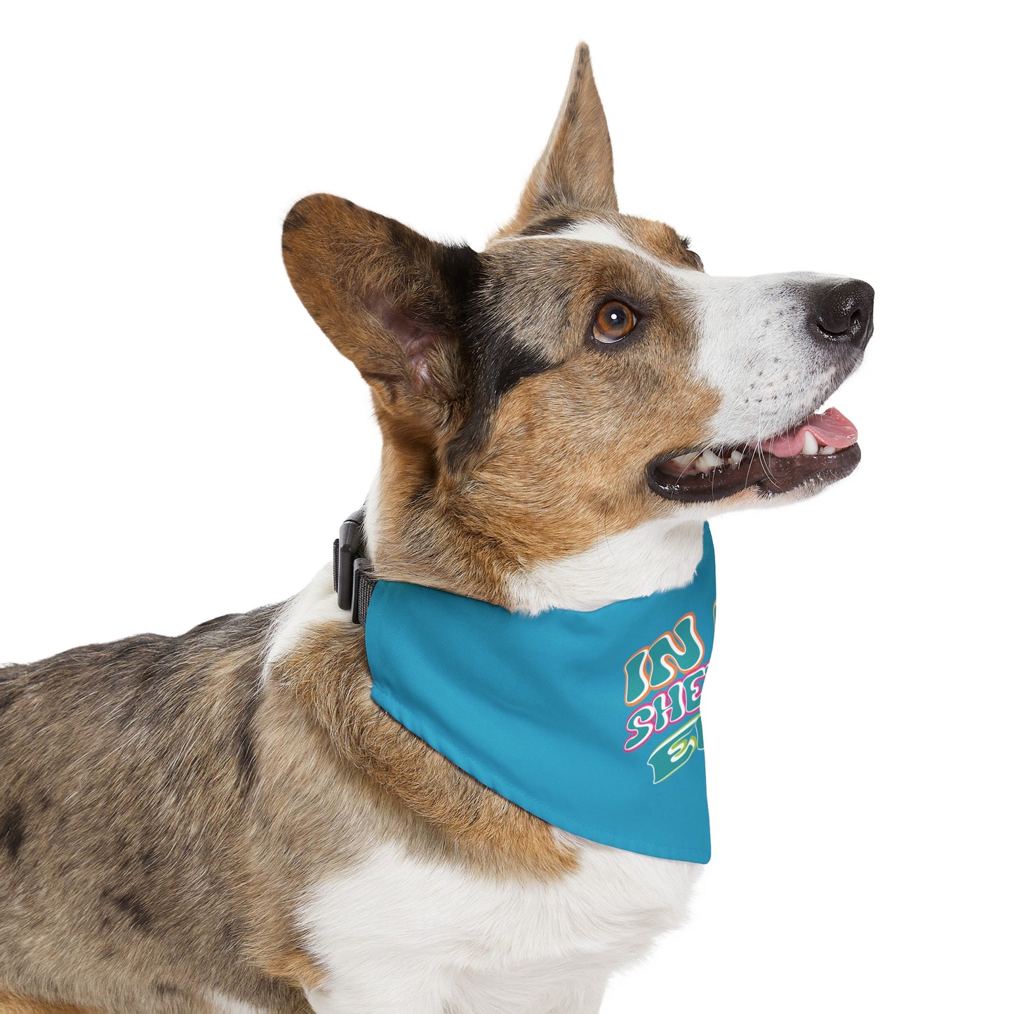 In My Shedding Era Pet Bandana Collar