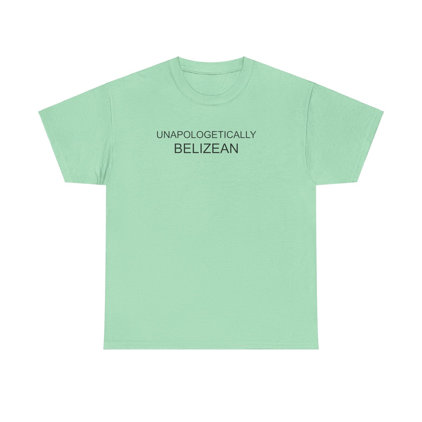 Unapologetic Unisex Heavy Cotton Tee