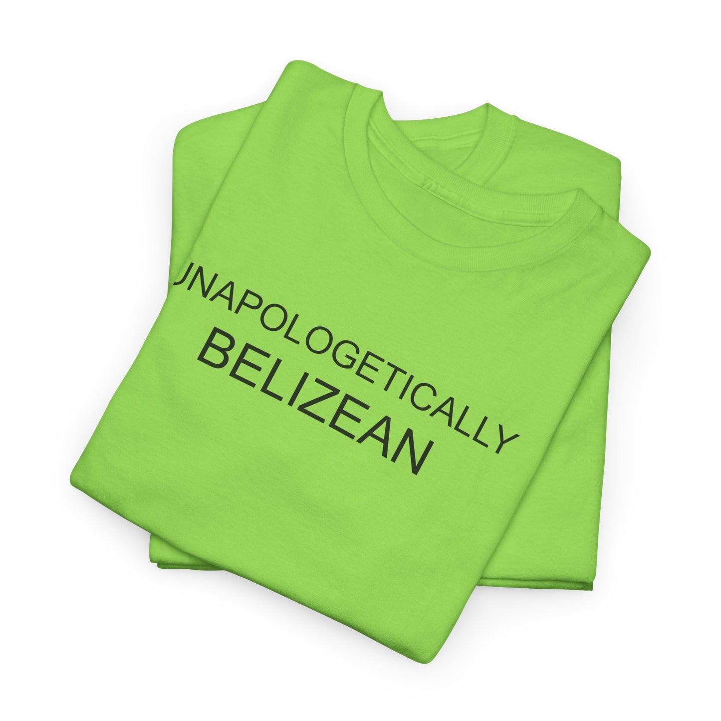 Unapologetic Unisex Heavy Cotton Tee