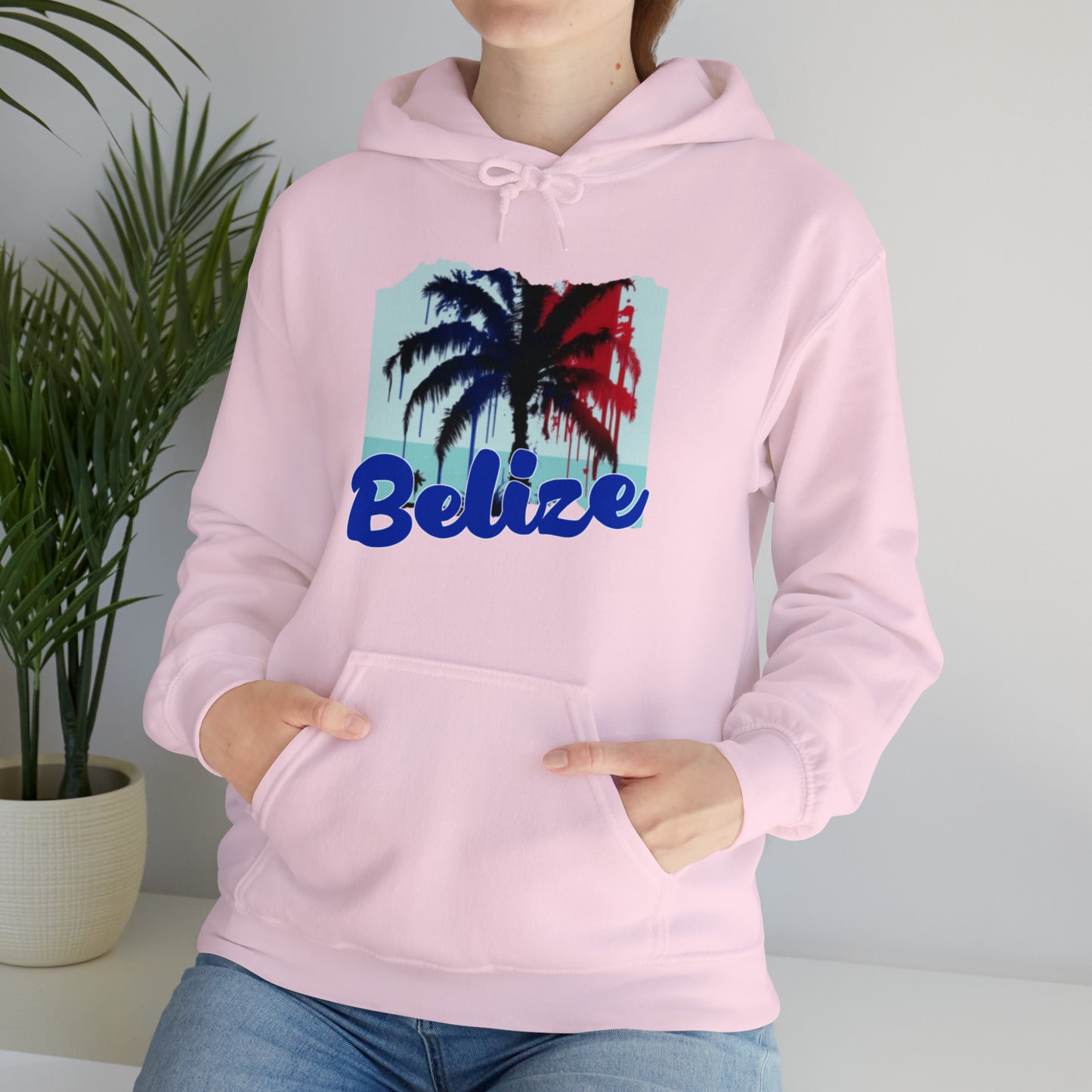 Belize Unisex Heavy Blend™ Hooded Sweatshirt