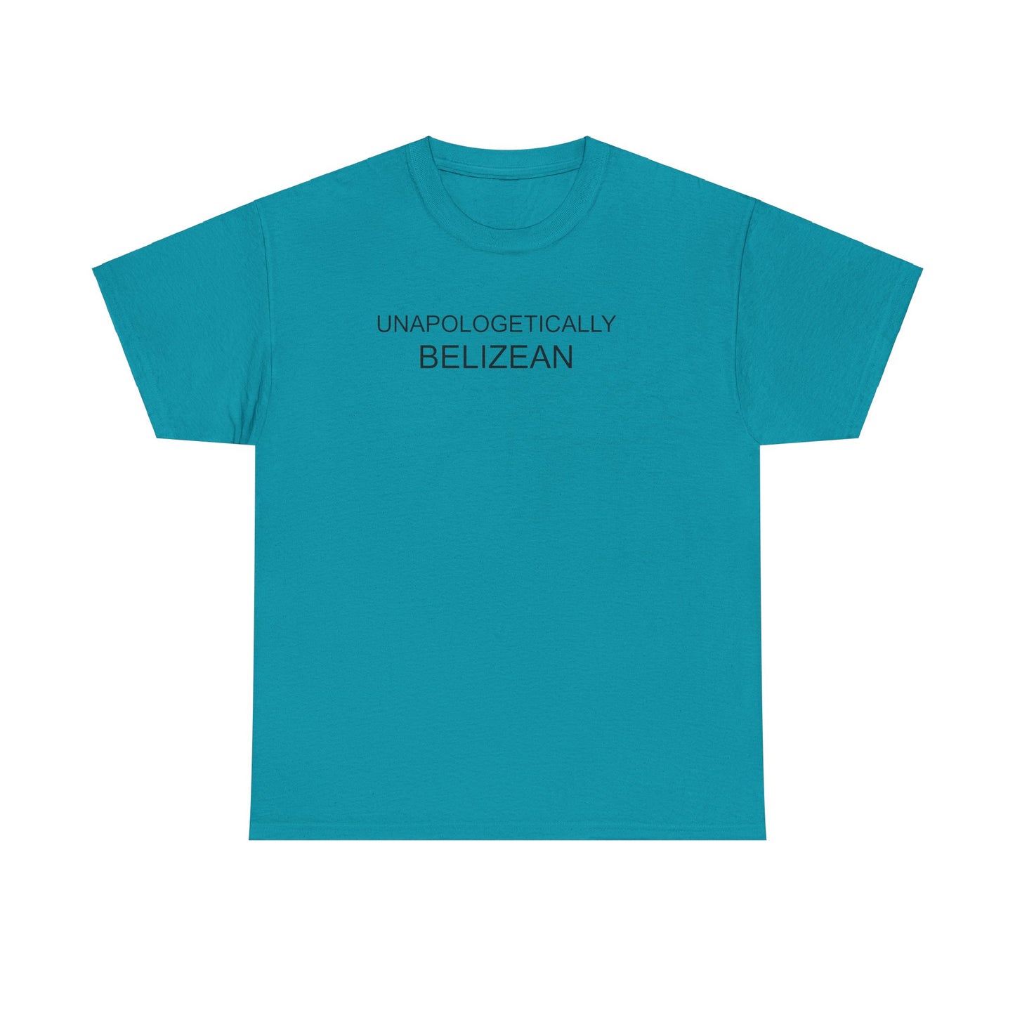 Unapologetic Unisex Heavy Cotton Tee
