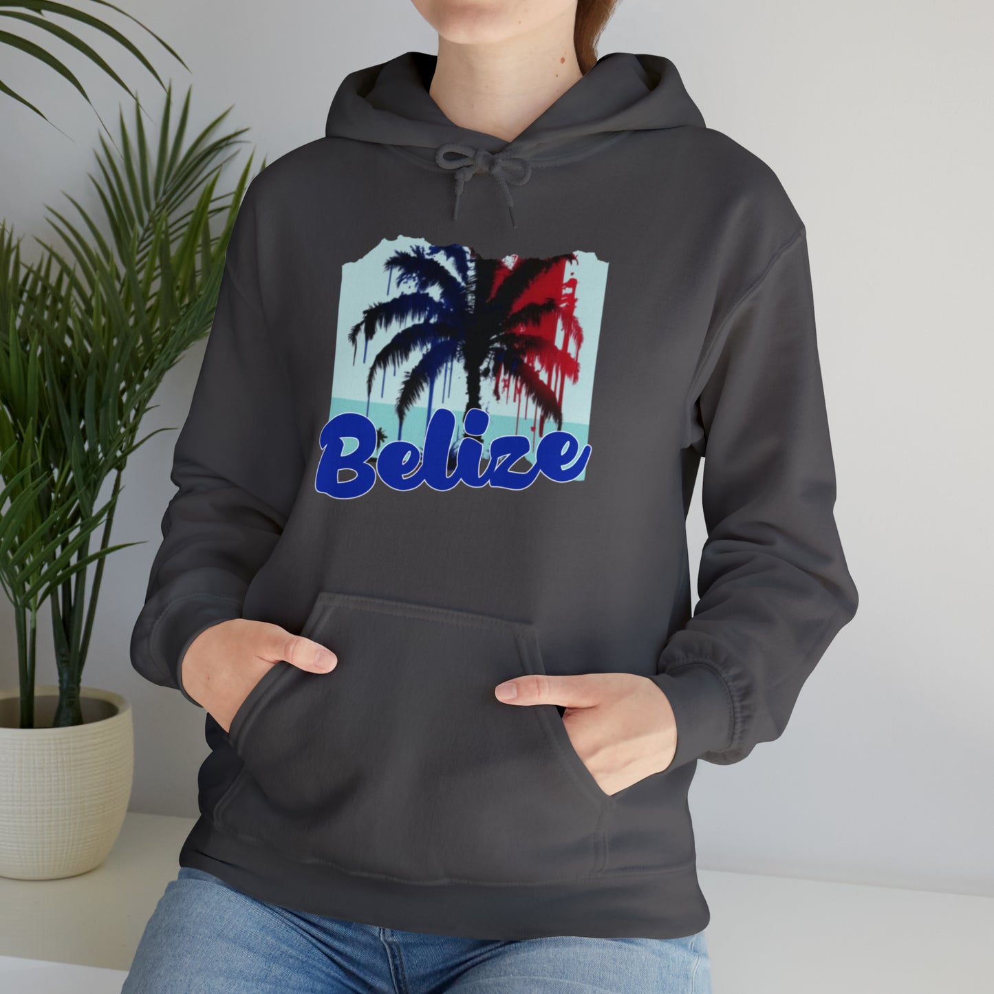 Belize Unisex Heavy Blend™ Hooded Sweatshirt