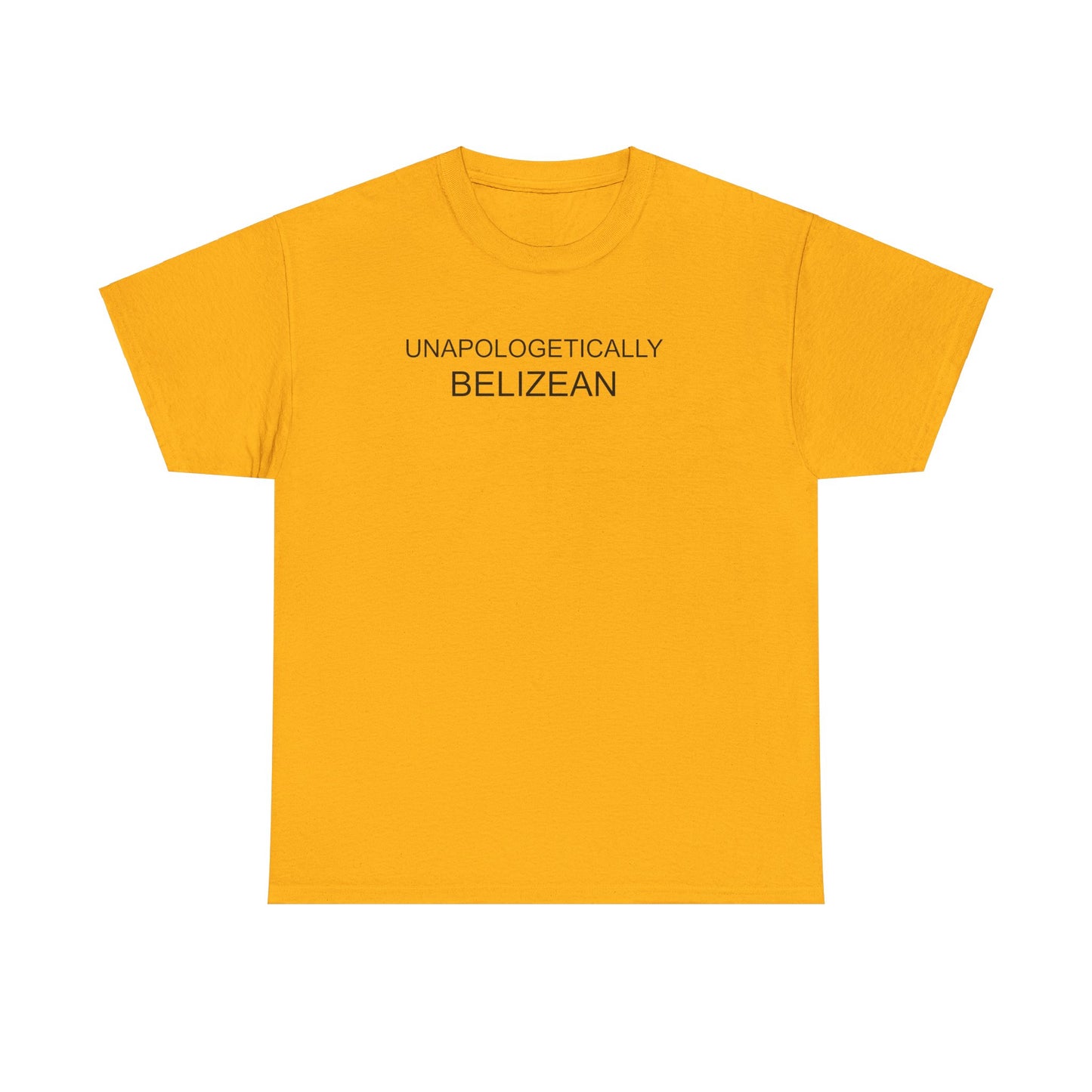 Unapologetic Unisex Heavy Cotton Tee
