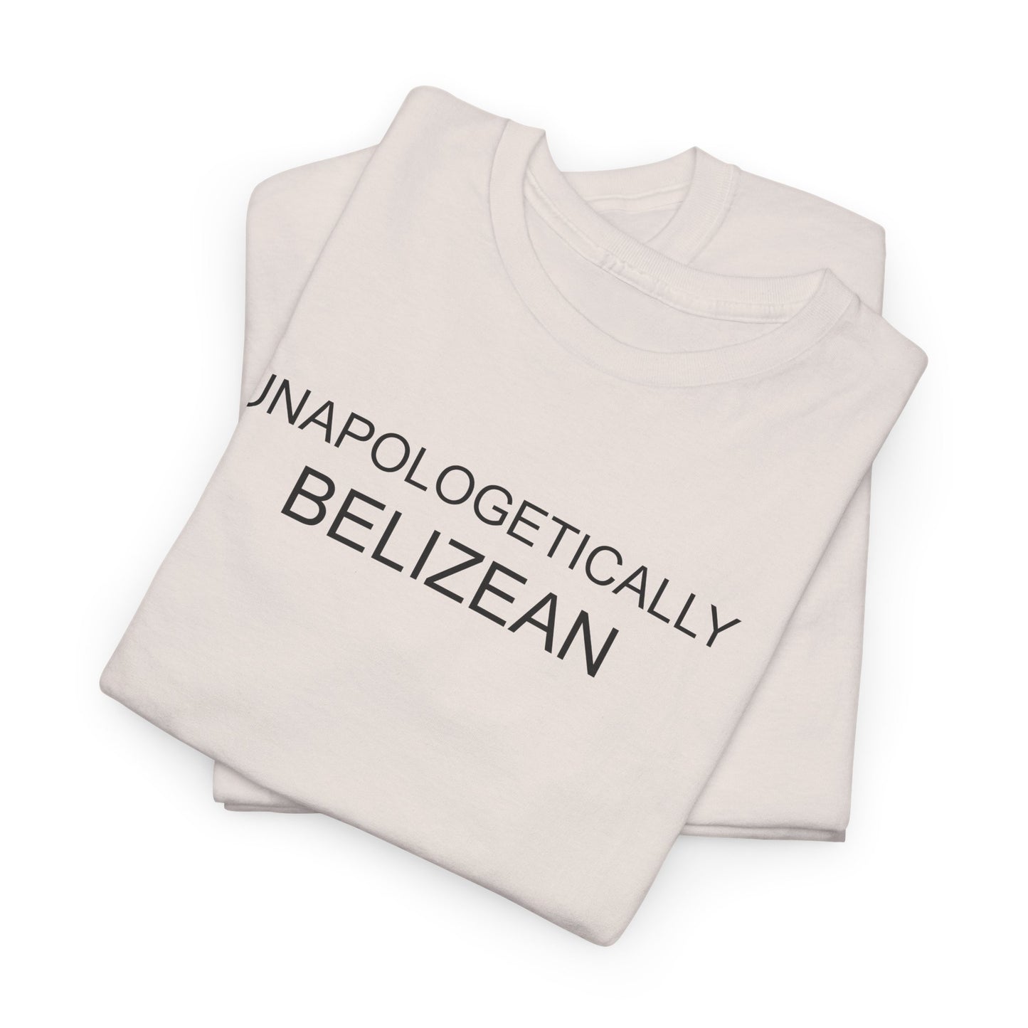 Unapologetic Unisex Heavy Cotton Tee