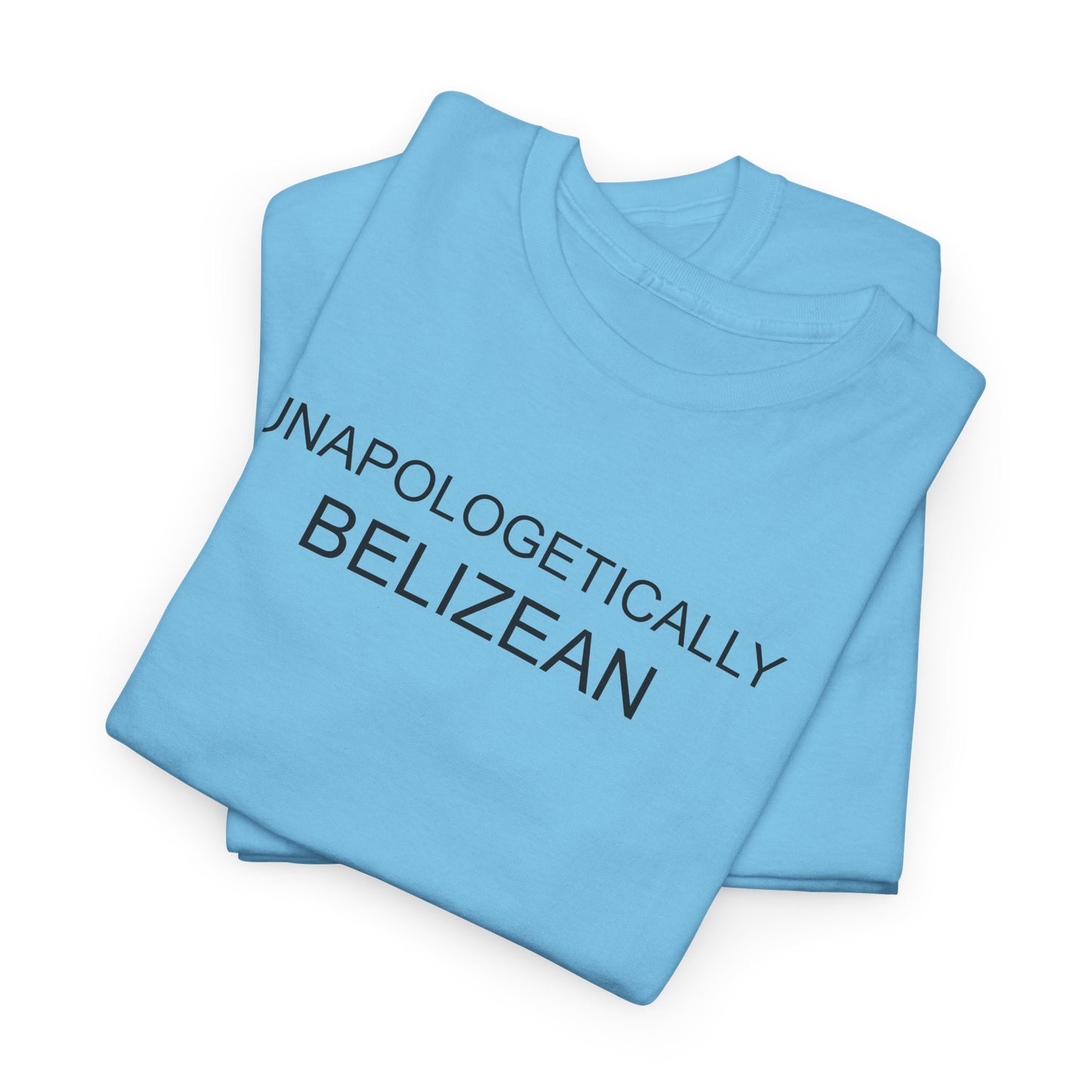 Unapologetic Unisex Heavy Cotton Tee
