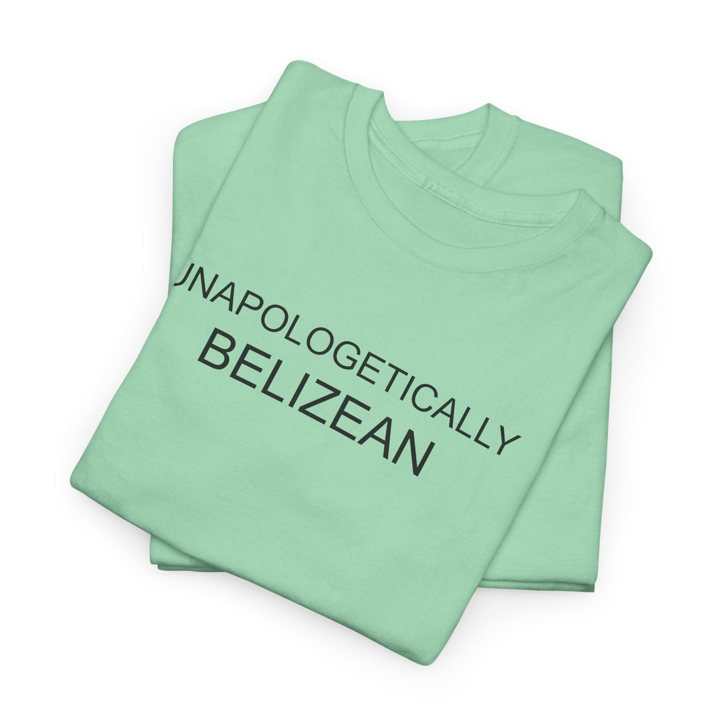 Unapologetic Unisex Heavy Cotton Tee
