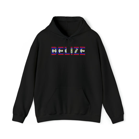 Belize flag Unisex Heavy Blend™ Hooded Sweatshirt