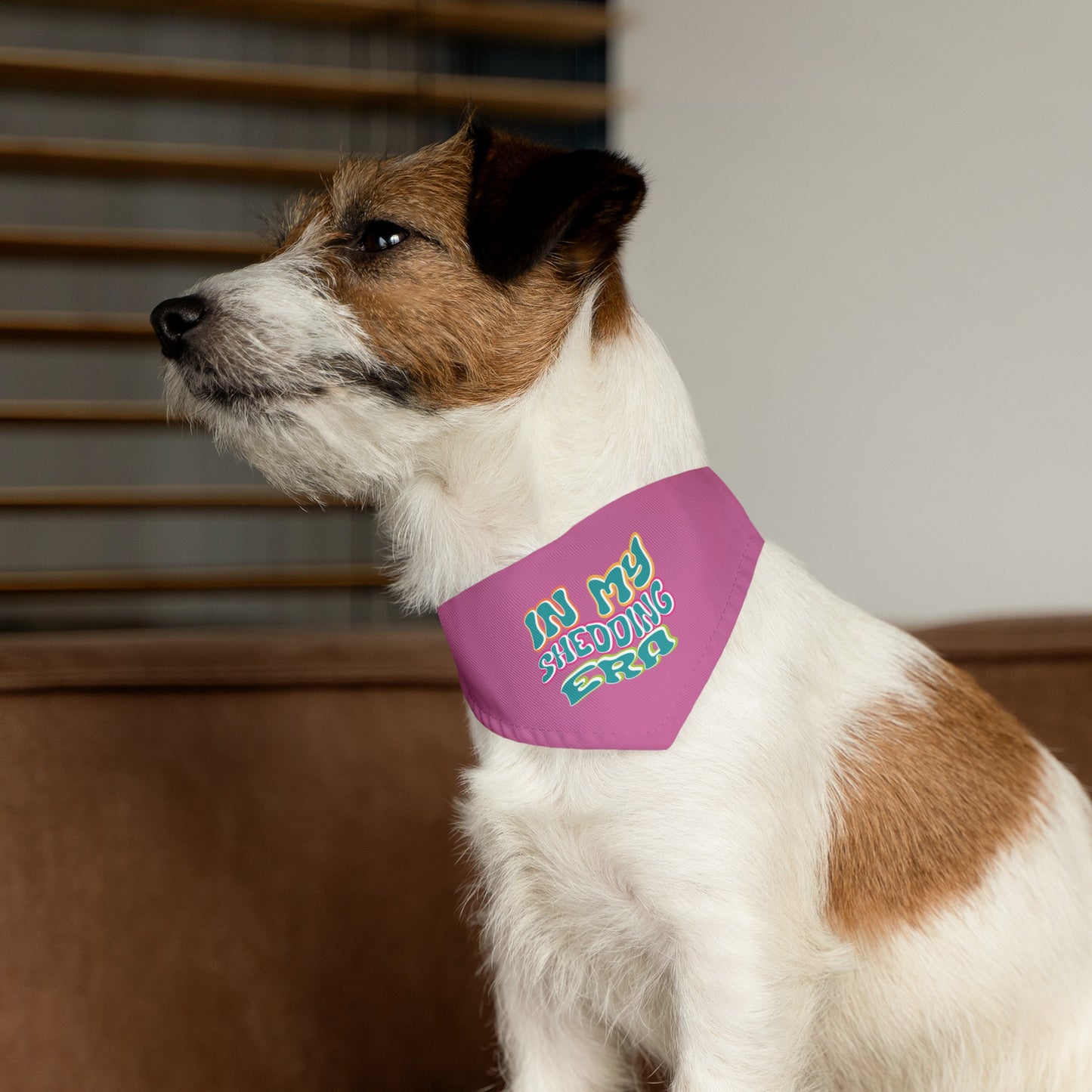 In My Shedding Era Pet Bandana Collar