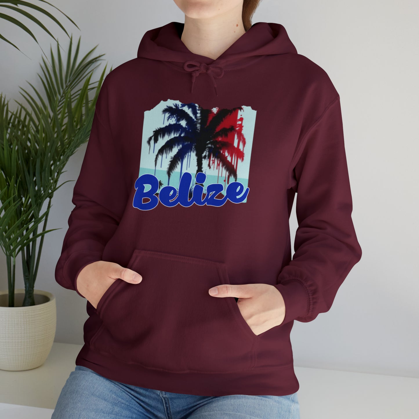 Belize Unisex Heavy Blend™ Hooded Sweatshirt