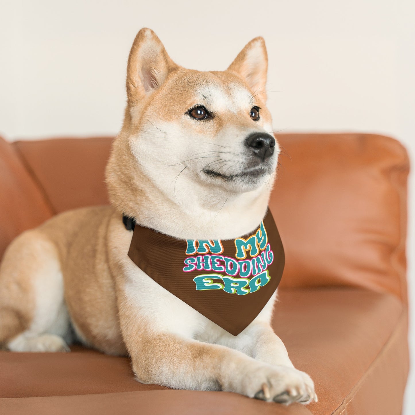 In My Shedding Era Pet Bandana Collar
