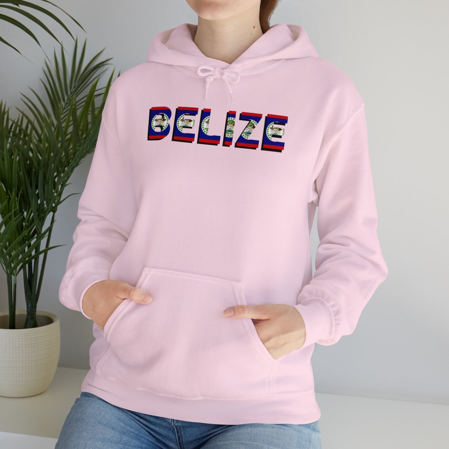 Belize flag Unisex Heavy Blend™ Hooded Sweatshirt