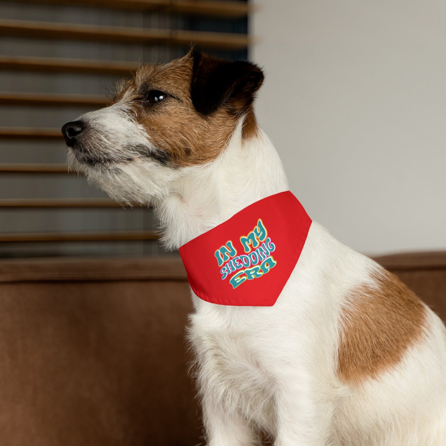 In My Shedding Era Pet Bandana Collar