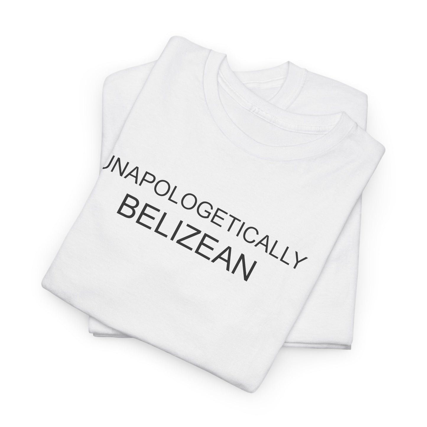 Unapologetic Unisex Heavy Cotton Tee
