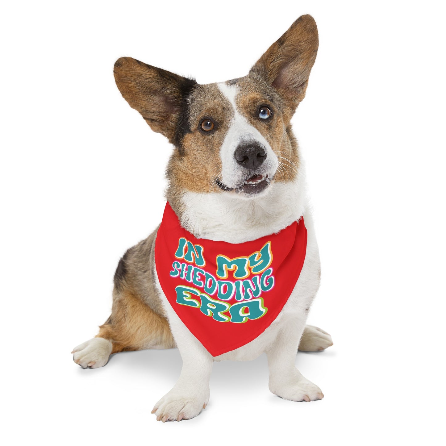 In My Shedding Era Pet Bandana Collar