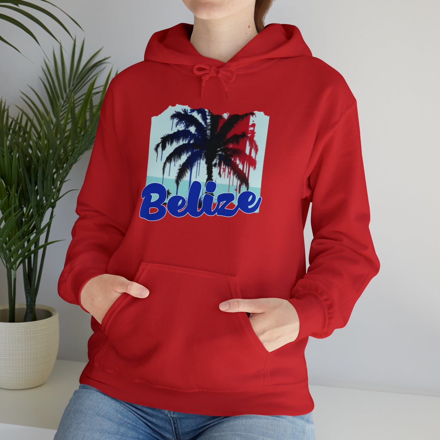 Belize Unisex Heavy Blend™ Hooded Sweatshirt