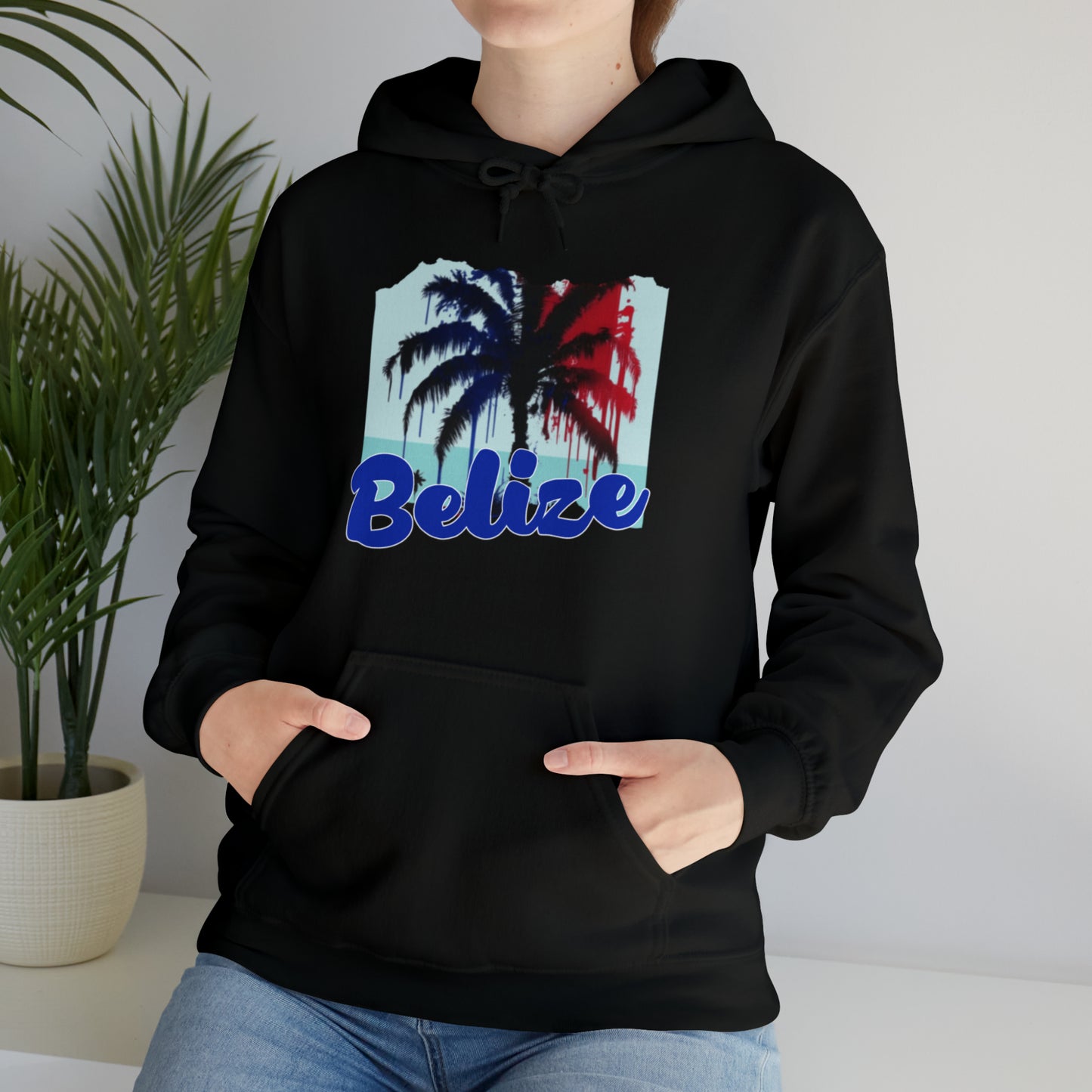 Belize Unisex Heavy Blend™ Hooded Sweatshirt