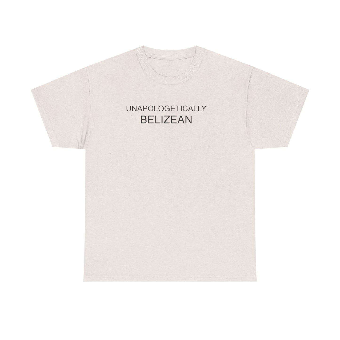 Unapologetic Unisex Heavy Cotton Tee