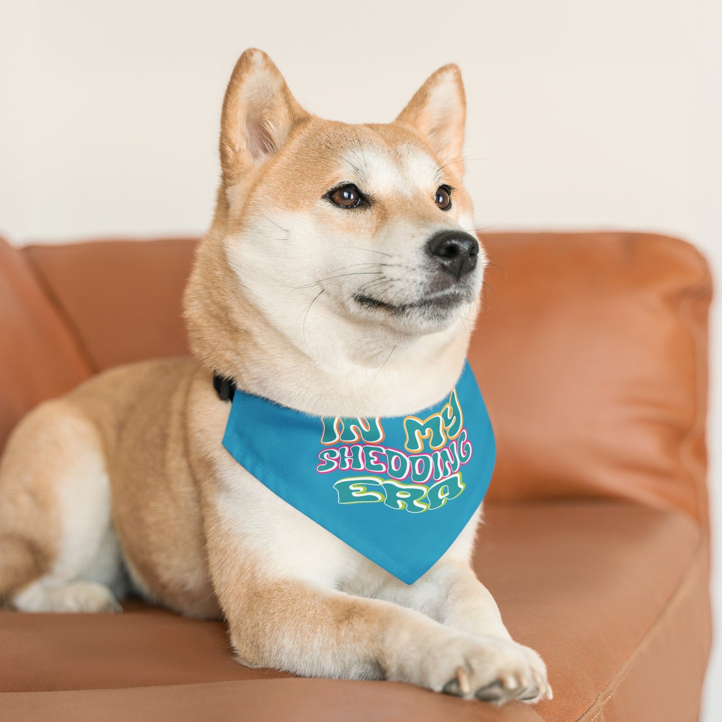 In My Shedding Era Pet Bandana Collar