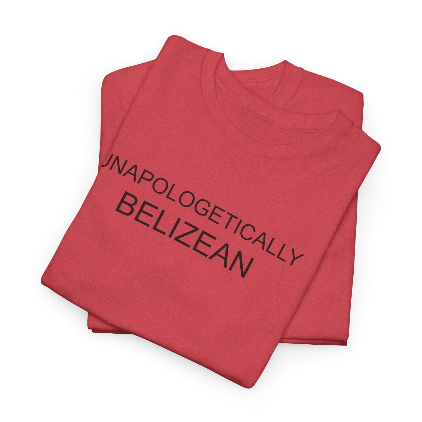 Unapologetic Unisex Heavy Cotton Tee
