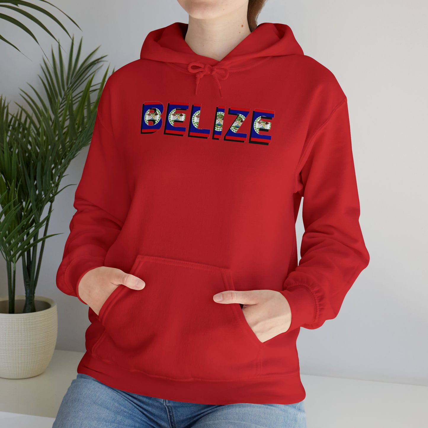 Belize flag Unisex Heavy Blend™ Hooded Sweatshirt