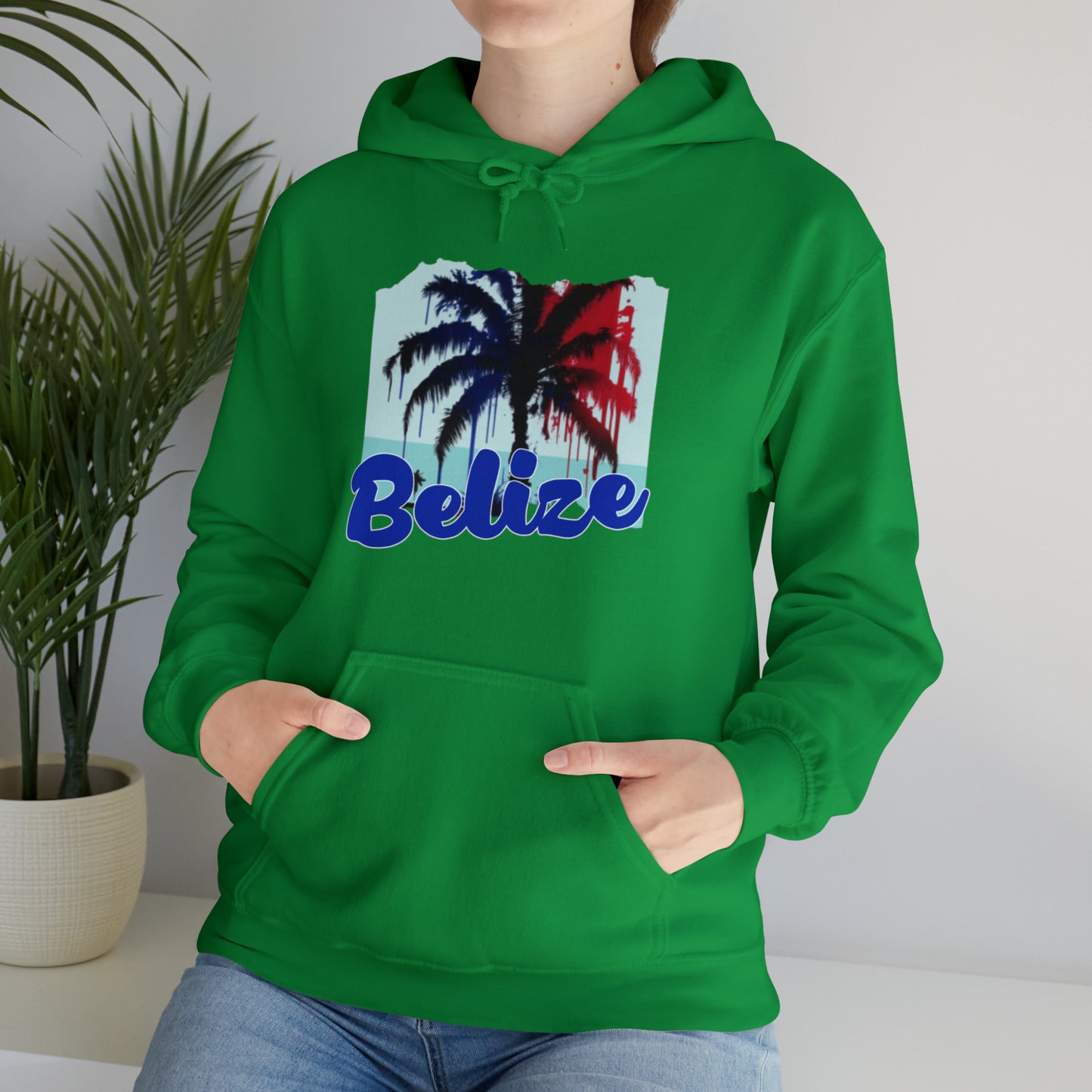 Belize Unisex Heavy Blend™ Hooded Sweatshirt
