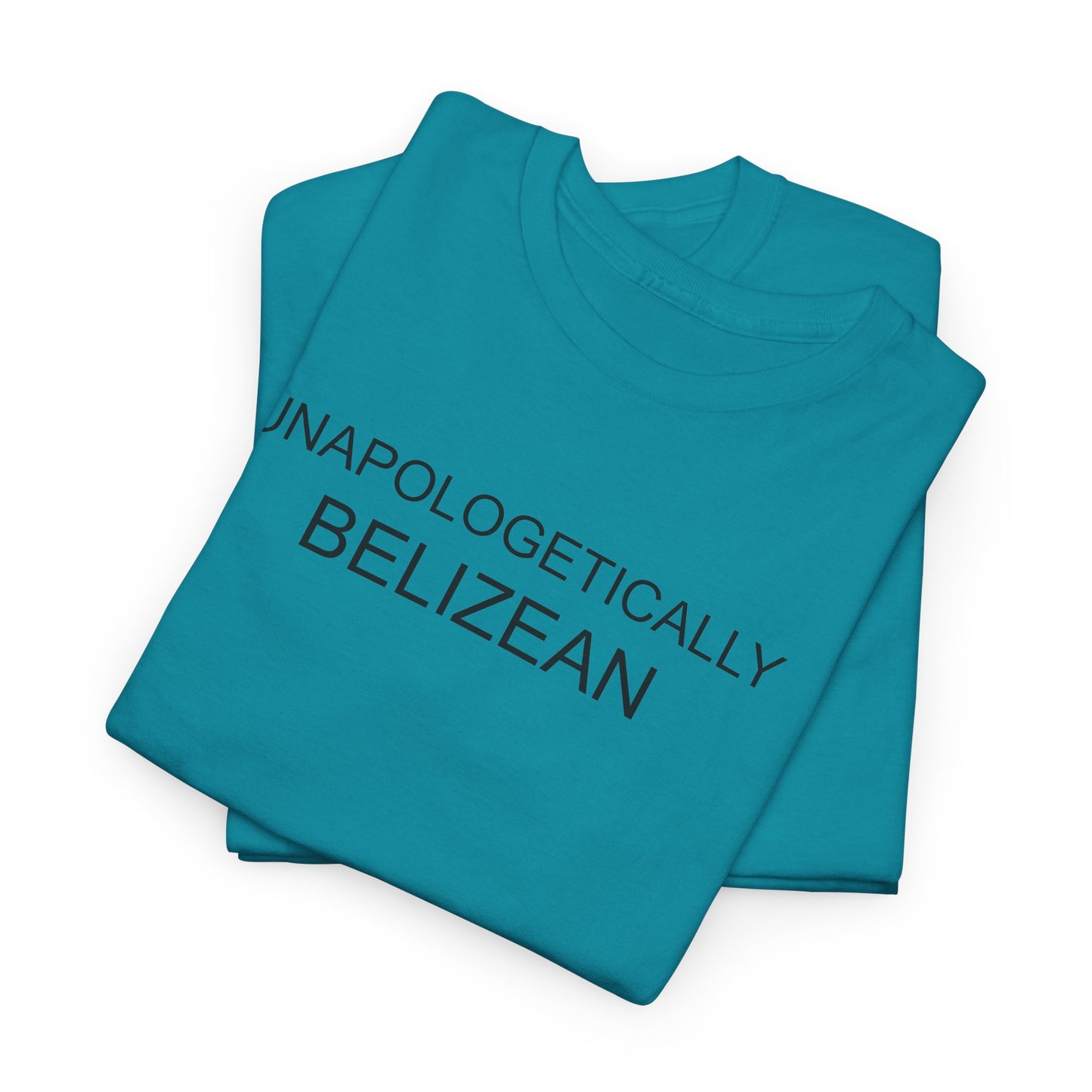 Unapologetic Unisex Heavy Cotton Tee