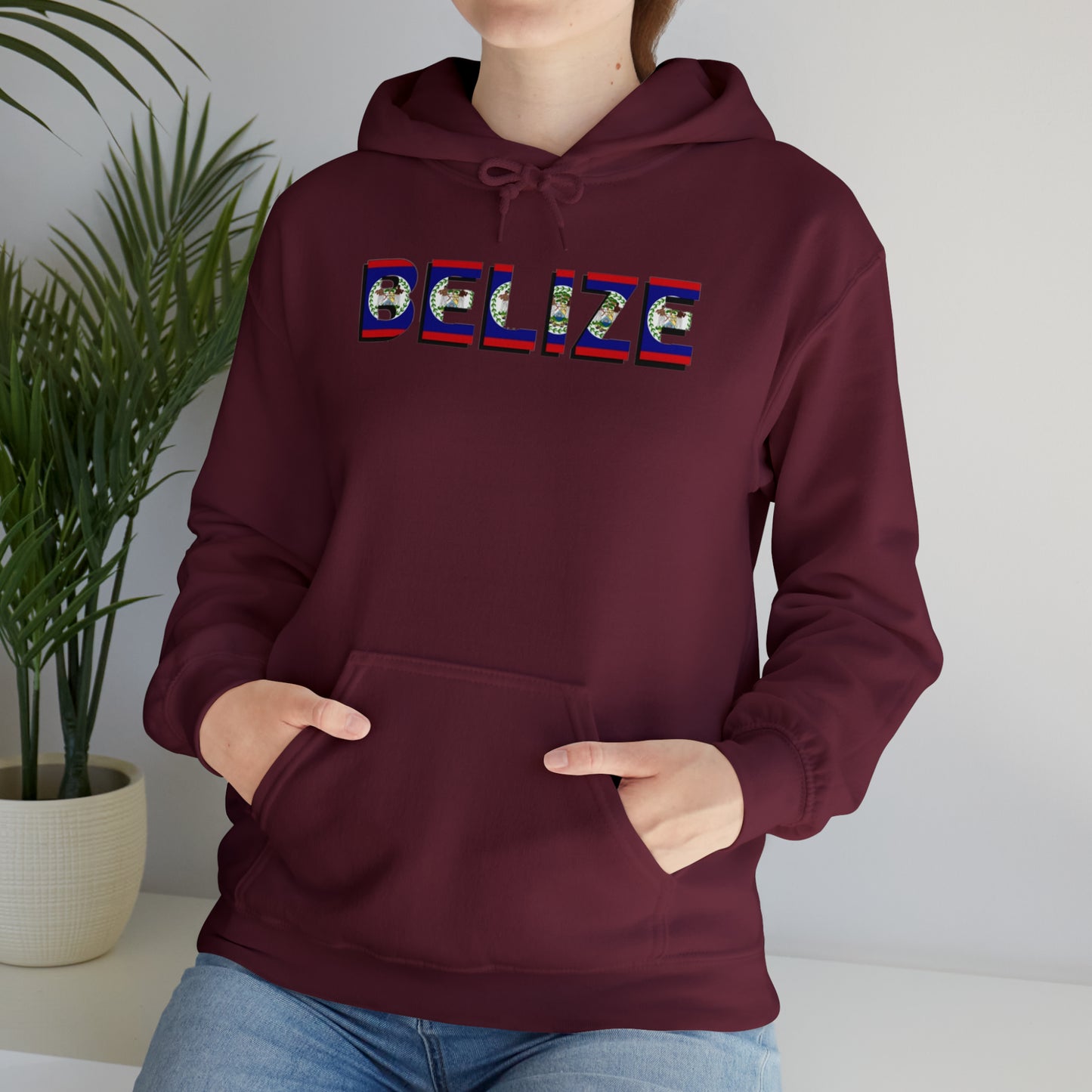 Belize flag Unisex Heavy Blend™ Hooded Sweatshirt