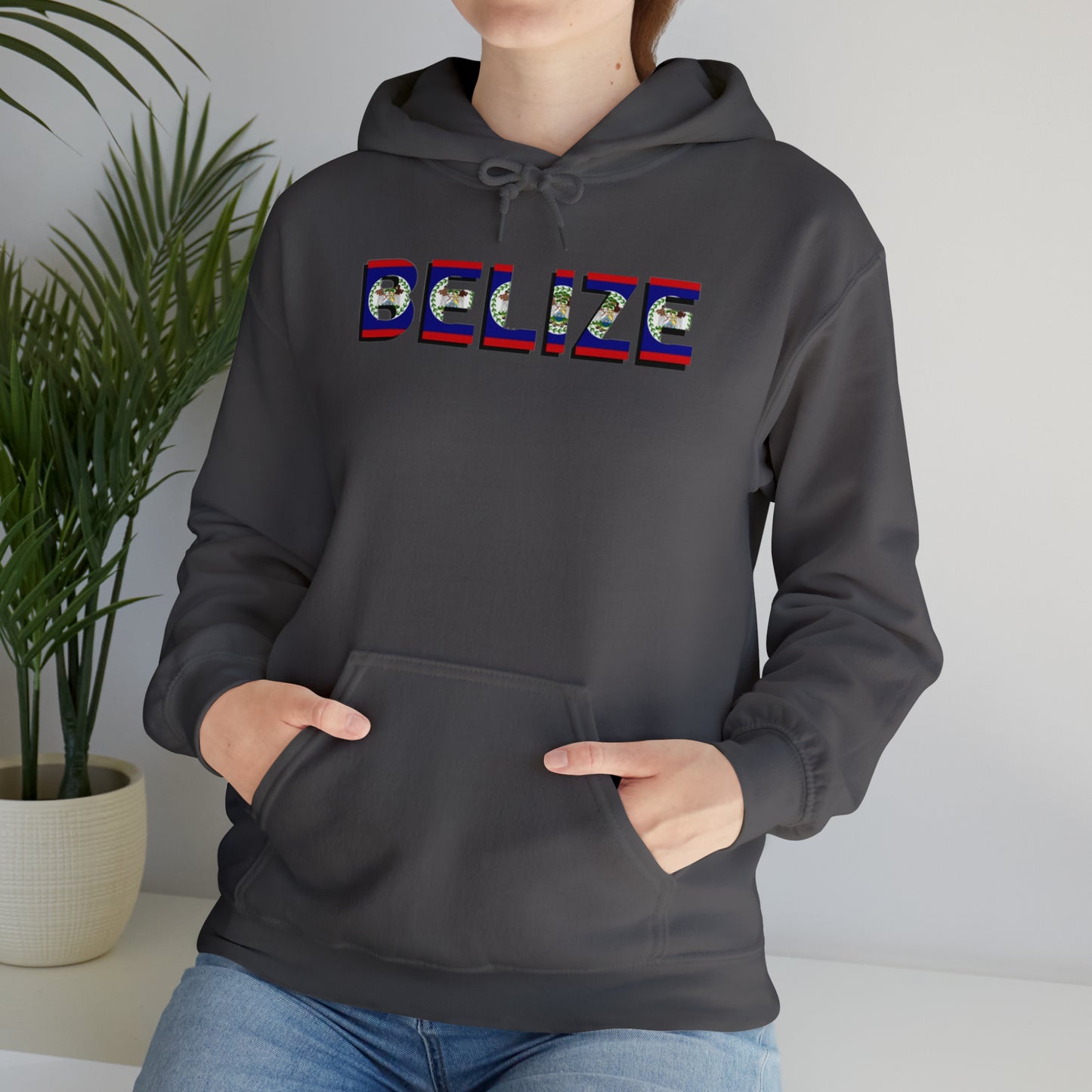 Belize flag Unisex Heavy Blend™ Hooded Sweatshirt