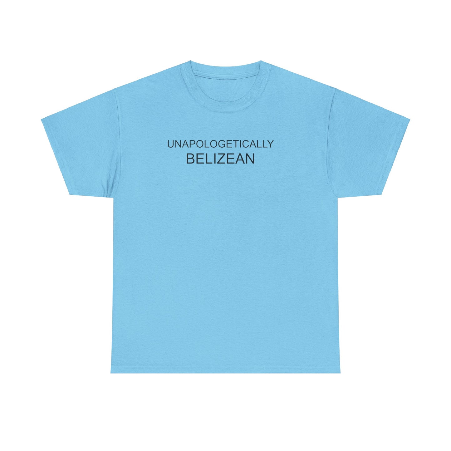Unapologetic Unisex Heavy Cotton Tee