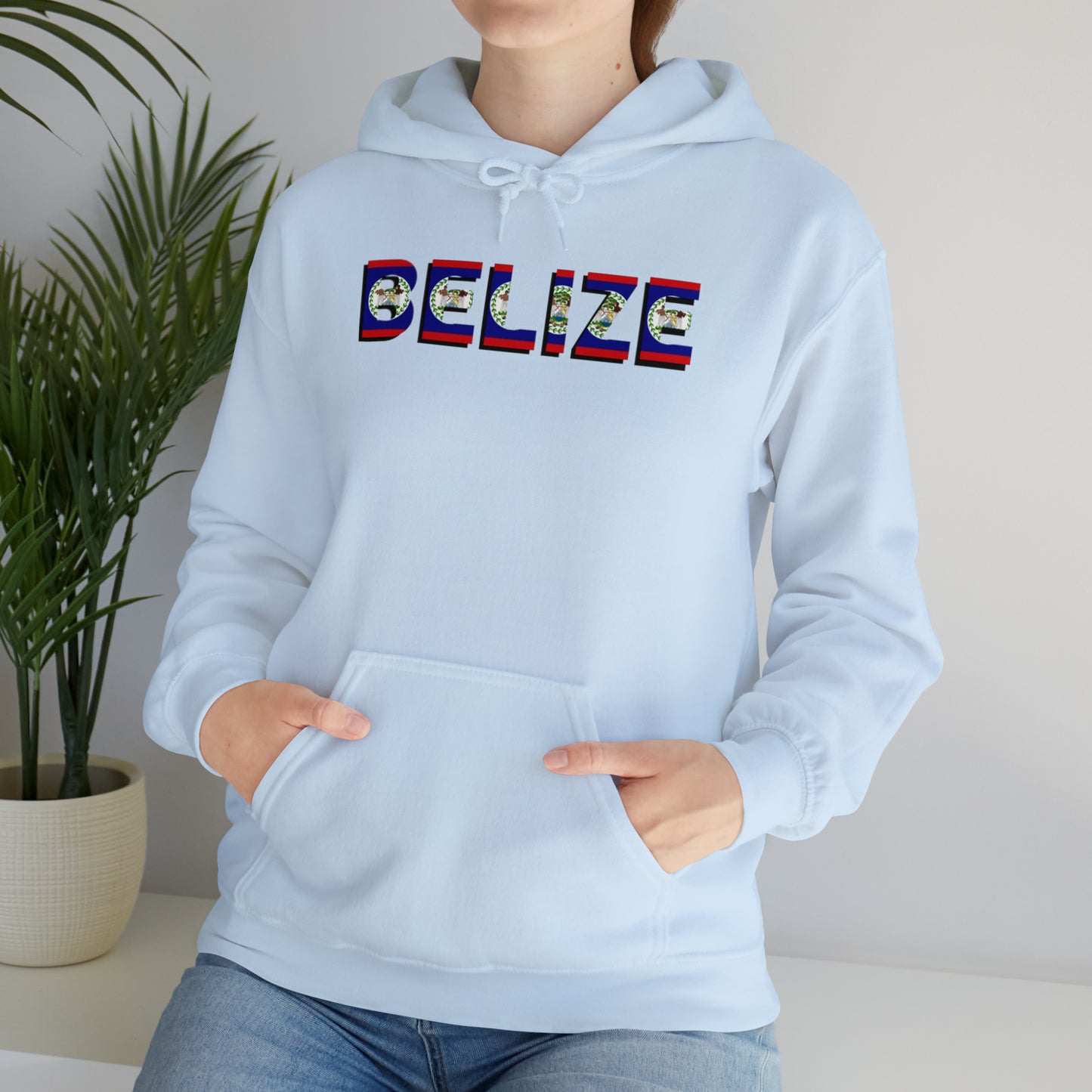 Belize flag Unisex Heavy Blend™ Hooded Sweatshirt