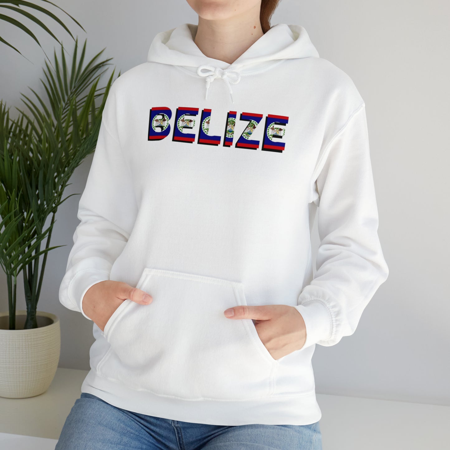 Belize flag Unisex Heavy Blend™ Hooded Sweatshirt